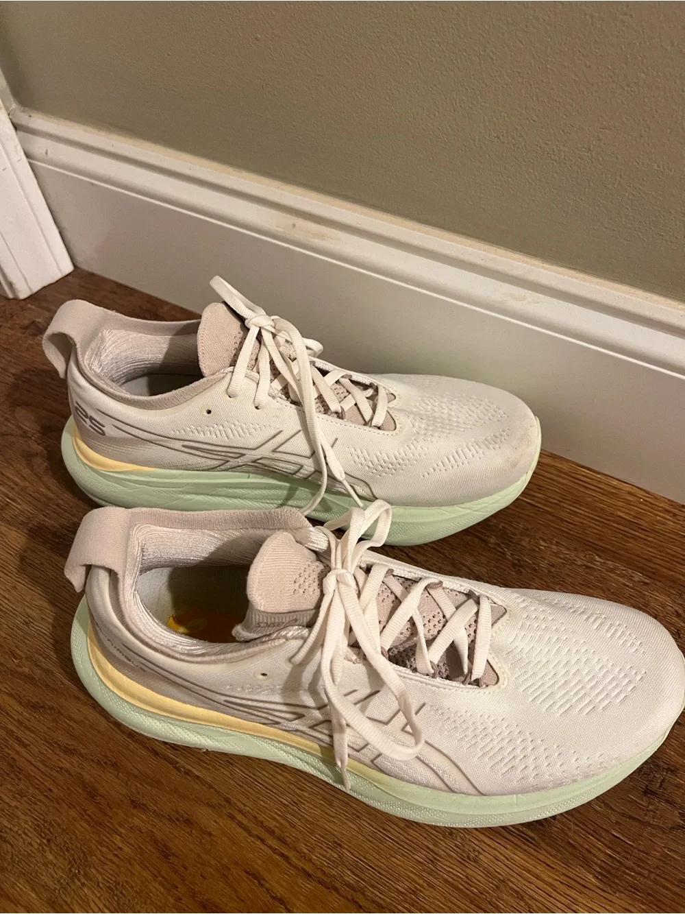 ASICS 25 gel nimbus shoes